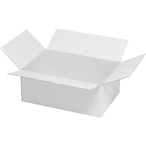 HEIKO Cardboard B5-110 Slim White Plain 20 Sheets 002123301 1 Box