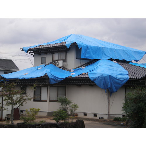 TRUSCO Blue Sheet Eco Blue Tarp Sheet #3000 Width 2.7m x Length 2.7m TP-2727A 1 Sheet