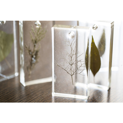 ペベオ　バイオベース・クリスタルレジンキット１５０ｍｌ（主剤１００ｍｌ＋硬化剤５０ｍｌ）　766141　1 個