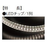 ハタヤ　ＬＥＤテープライトＲ片面セット　RLTP10S　1 台