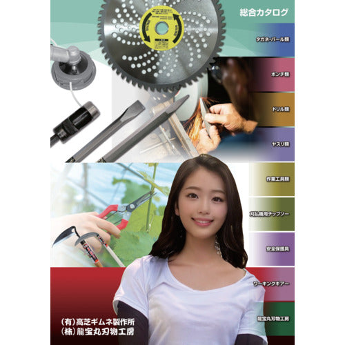 ダイヤーティ　総合カタログ　CATALOG　1 冊