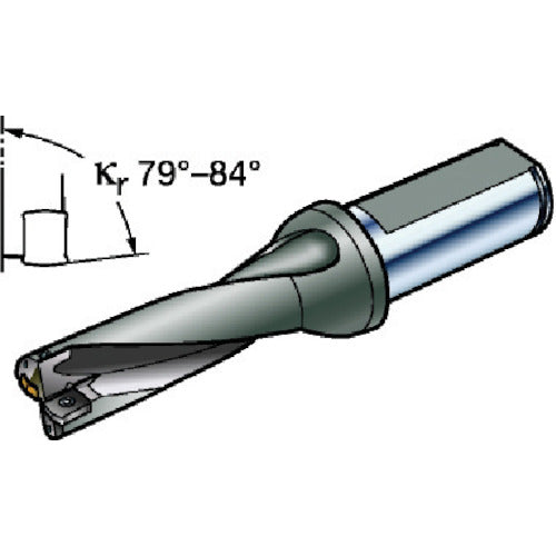 샌드빅 날끝 교환식 드릴 콜로 드릴 881 원통 생크(465) 881-D1900L25-03 1개