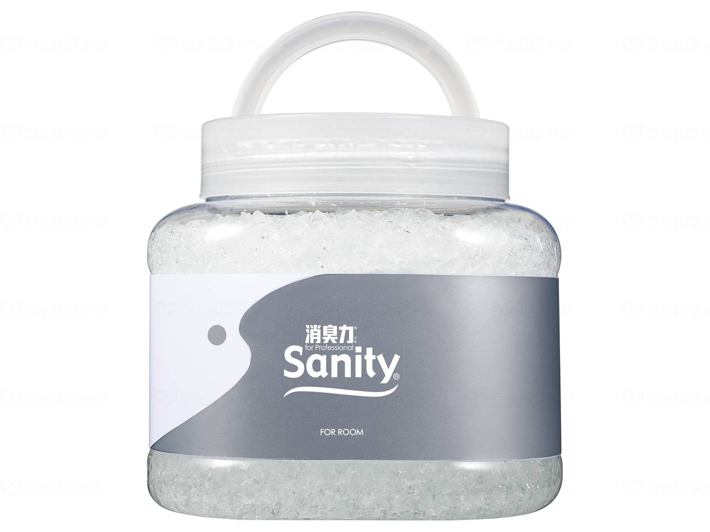 S.S. Sanity Commercial Deodorizer Large Type R Body Case Indoor Unscented