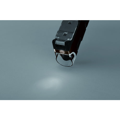 레이 메이 핸디 현미경 DX 블랙 RXT1144B 1 개