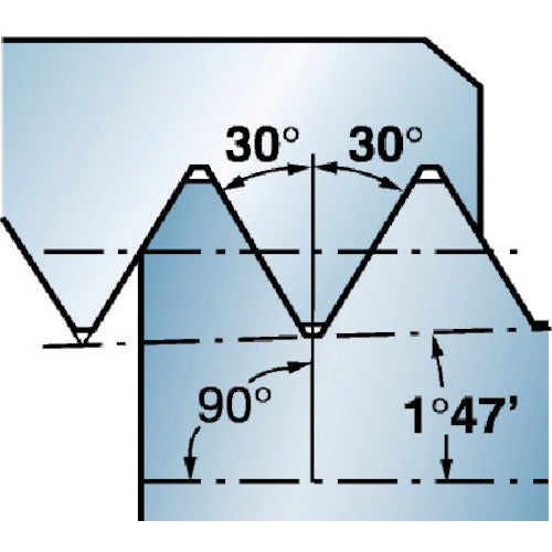 サンドビック　コロターンＸＳ　超硬ブランク（３２５）　１０２５　CXS-06TH18NT-6215R　1 本