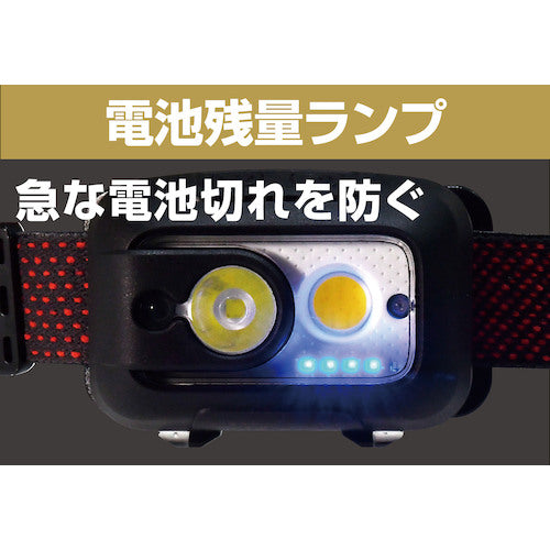 ＥＬＰＡ　スポット＆ワイド　ＬＥＤヘッドライト　調色機能付　DOP-HD710T　1 PK