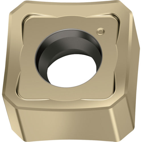 ワルター　ミーリング加工用　正方形ネガチップ　ＷＳＭ３５Ｇ　SNGX1205ANN-F67　10 個