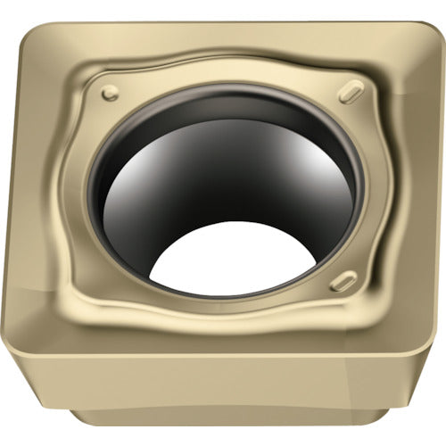 ワルター　ミーリング加工用　正方形ポジチップ　ＷＳＭ３５Ｇ　SDGT06T2PDR-D57　10 個