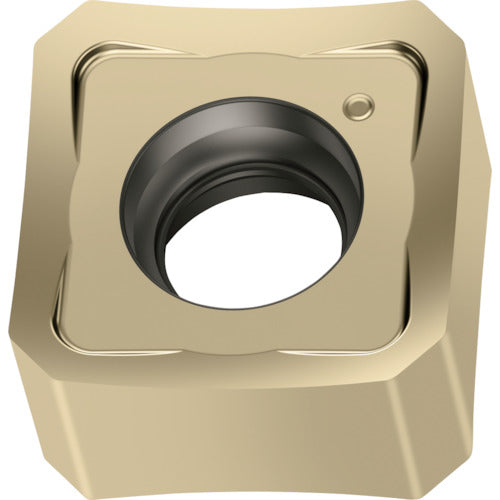 왈터 밀링 가공용 정사각형 네거티브 칩 WSM35G SNMX0904ANN-F67 10개