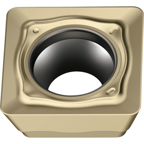 ワルター　ミーリング加工用　正方形ポジチップ　ＷＳＭ３５Ｇ　SDMT06T212-F57　10 個