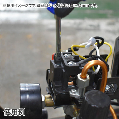 아스트로 프로덕츠 AP 관통 일자 드라이버 볼스터 부착 SL6.5×100mm 2002000035882 1개