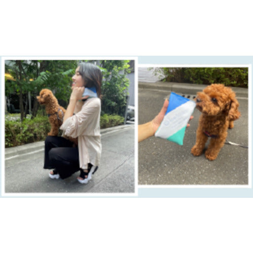 아이・티・이 아이스 배터리 프레쉬 AVA(보냉 파우치 첨부) IBF-A01 1봉