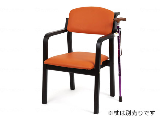 Office Lab Econo Chair Woody Anti-Virus Coating Dark Frame/Orange