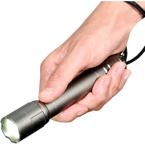 ELPA LED Aluminum Light DOP-EP430 1 PK