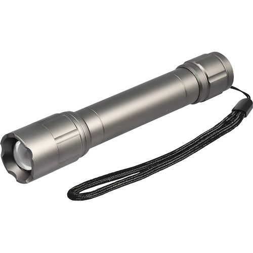 ELPA LED Aluminum Light DOP-EP430 1 PK