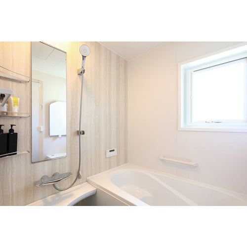 ELPA Auto Spray Foam Type DS-01AS 1 Box