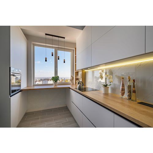 ELPA Auto Spray Foam Type DS-01AS 1 Box