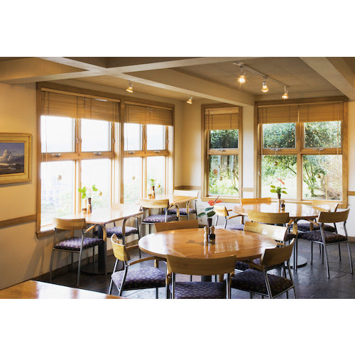 ELPA Auto Spray Mist Type DS-01MS 1 Box