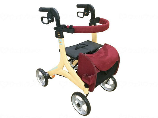 Interjet Stream Maroon Ecclebege