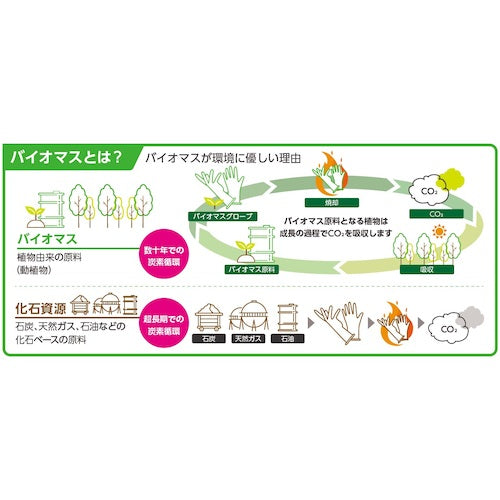 Queen Biomass Gloves PVC 40 pieces S PVC0456PFTBS 1 box