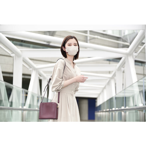 ＩＲＩＳ　２００９７５　デイリーフィットマスク　フィルタープラス　ふつう　２０枚入　ペールベージュ×ボルドー　RN-H20SUF　1 箱