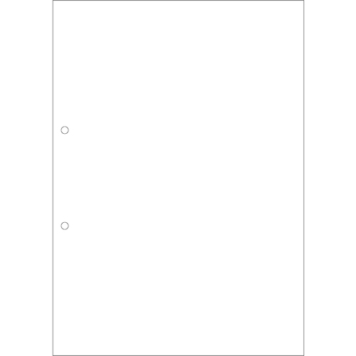 HISAGO FSC(R) 인증 멀티 프린터 서표 복사 타입 A4 노카본 백지 2홀 대입 FSCF2001Z 1상자