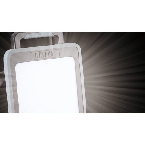 ハタヤ　５０Ｗ　ＬＥＤケイ・ライト　ハイブリッドタイプ　LWA-50KHB　1 台