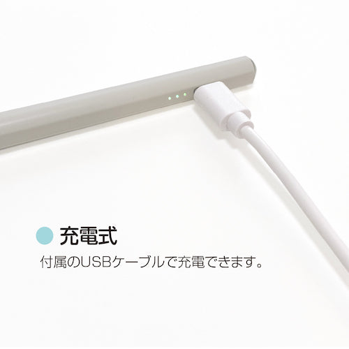 Nakabayashi Rechargeable Touch Pen for iPad, Light Gray, TPEN-001GY, 1 Piece