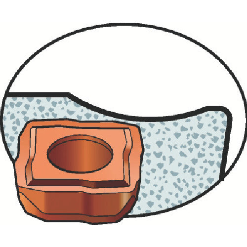 サンドビック　穴あけ加工用チップ　スーパーＵドリル（３６５）　１０４４　880-02 02 04H-C-GR　10 個