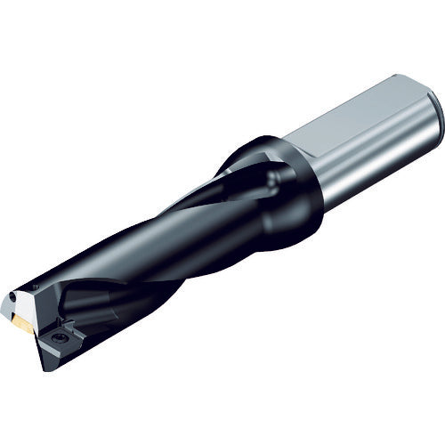 샌드빅 날끝 교환식 드릴 슈퍼 U 드릴(465) 880-D4300L50-04 1개