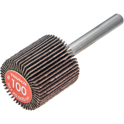 TRUSCO Economy Flap Wheel, Shaft Diameter 6mm, Outer Diameter 25 x Width 25 x Shaft Length 35, #100 (5 pieces) EF2525-100, 1 box