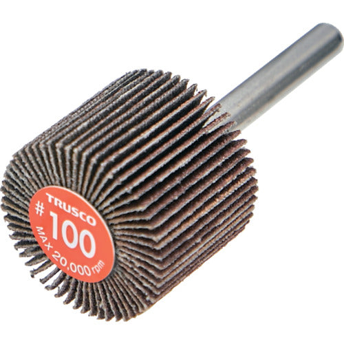 TRUSCO Economy Flap Wheel, Shaft Diameter 6mm, Outer Diameter 30 x Width 25 x Shaft Length 35, #100 (5 pieces) EF3025-100, 1 box