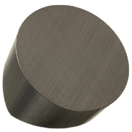 샌드빅 T-Max 선삭용 포지칩(610) 650 RCGX 06 06 00T01020 10개