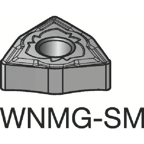 샌드빅 T-Max P 선삭용 네거티브 칩(110) WNMG080408-SMR 10개