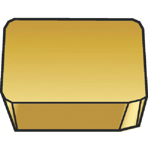 샌드빅 밀링 커터 용 칩 3020 SPKN 12 04 ED R 10 개