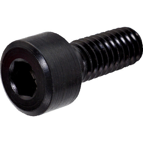 샌드빅 육각 스크류(810) 3212 010-255 1개