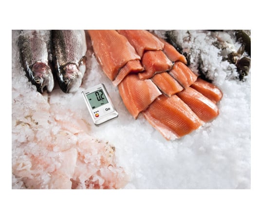 温度データロガー (本体)  testo 174T (本体)　0572 1560 1個