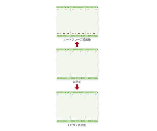 HPsp(R)滅菌バッグ(AC/EOGガス両用ロールタイプ)　TS-3006 1巻