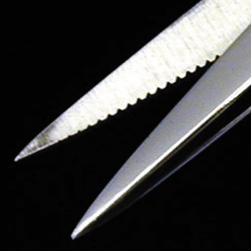 キンキリ鋏　PH-33 1個