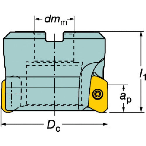 샌드빅 콜로밀 790 커터(440) R790-050Q22S1-16H 1개