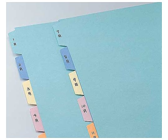 Color divider card A4 vertical 2 holes 6 stacks 10 sets Shiki-110N 1 pack (10 sets)