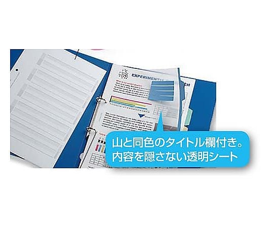 칼라 칸막이 카드 PP A4 세로 12산 5조 샤키-P100 1팩