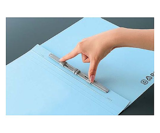 Flat File T A4 Vertical Blue F-T10NB 1 pc
