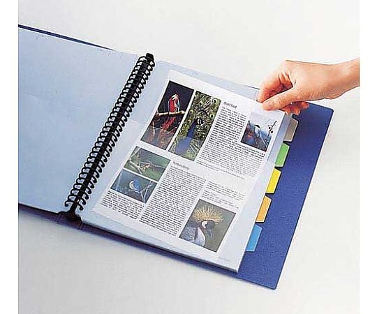 하프 포켓 두꺼운 입 A4 세로 30 구멍 파랑 10장 108HPｵ 1팩(10장입)