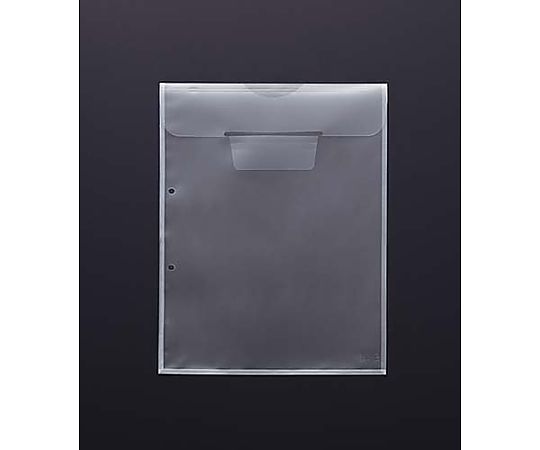 파일링 홀더 2홀 마치 부착 봉투 A4 10장입 프-GHE750T 1팩(10장입)