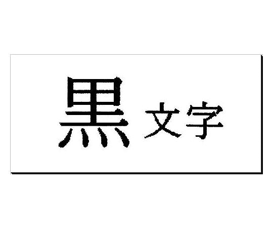 테프라 PRO 테이프 마그넷 화이트 24mm 블랙 문자 SJ24S 1개