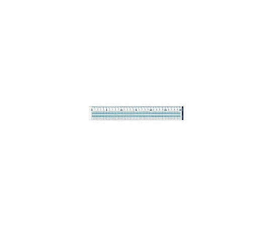 방안 직선 눈금자 메모리 사이즈 30cm CL-RG30 1개