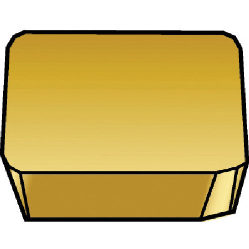 샌드빅 밀링 커터 팁 4240 SPKN 12 03 ED R 10 개