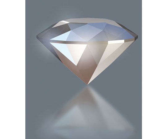 851/1BDCPH 비트 +2 056402 1개