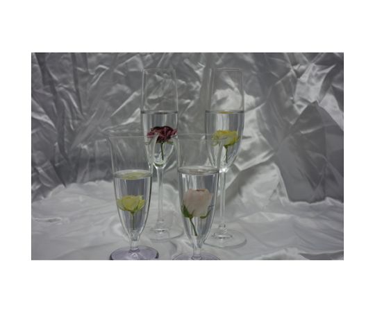 Highly transparent coating material ET300g T920009 1 set